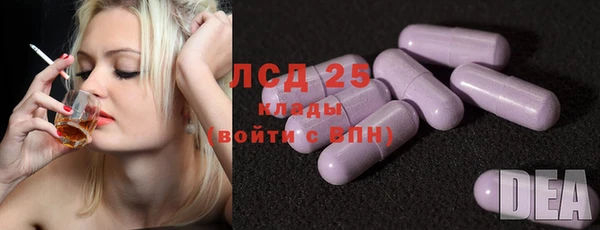 стаф Каменногорск