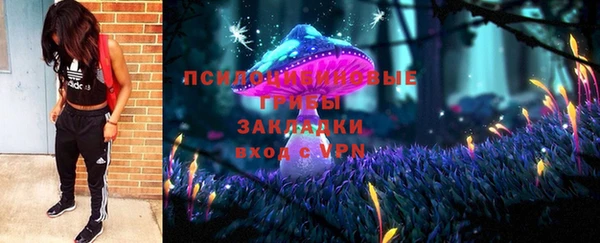 стаф Каменногорск