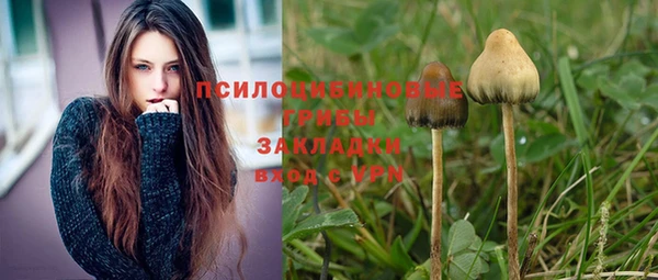 стаф Каменногорск