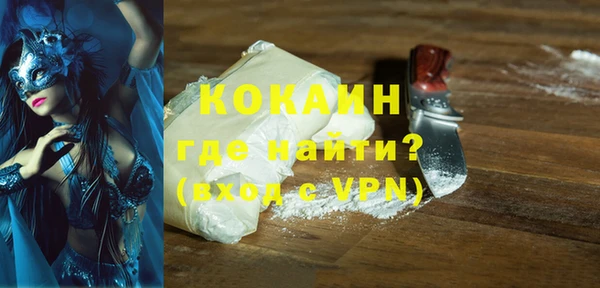 стаф Каменногорск
