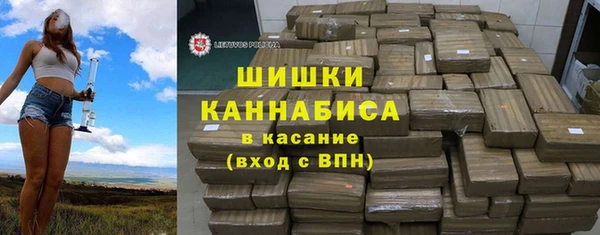 стаф Каменногорск
